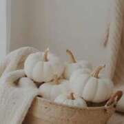 ヒメ日記 2025/09/09 09:01 投稿 ユヅキ マテリアル