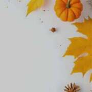 ユヅキ ?和菓子 マテリアル