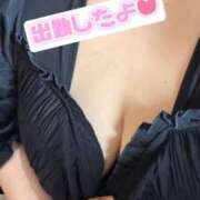 ヒメ日記 2025/05/17 10:19 投稿 ひまり 鹿児島ちゃんこ霧島店