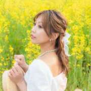 ヒメ日記 2025/04/27 21:06 投稿 めあり 変態なんでも鑑定団