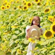 ヒメ日記 2025/08/02 01:46 投稿 めあり 変態なんでも鑑定団