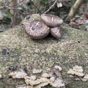 ヒメ日記 2025/04/04 12:55 投稿 なみ 谷町人妻ゴールデン倶楽部