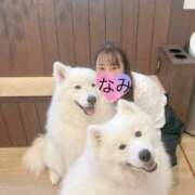 ヒメ日記 2025/05/09 09:00 投稿 なみ 谷町人妻ゴールデン倶楽部