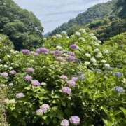 ヒメ日記 2025/06/21 10:20 投稿 なみ 谷町人妻ゴールデン倶楽部