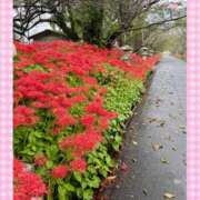 ヒメ日記 2025/10/05 18:40 投稿 なみ 谷町人妻ゴールデン倶楽部