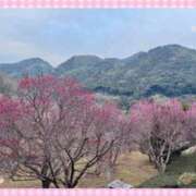 ヒメ日記 2026/02/16 20:10 投稿 なみ 谷町人妻ゴールデン倶楽部