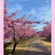 ヒメ日記 2026/03/01 10:15 投稿 なみ 谷町人妻ゴールデン倶楽部