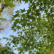 ヒメ日記 2025/05/21 14:45 投稿 まひる 逆痴漢