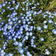 ヒメ日記 2025/09/20 14:35 投稿 まひる 逆痴漢