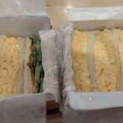 ヒメ日記 2024/12/23 19:20 投稿 かなめ 奥鉄オクテツ兵庫