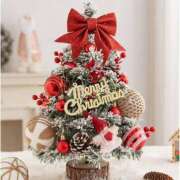 ヒメ日記 2024/12/25 11:29 投稿 かなめ 奥鉄オクテツ兵庫