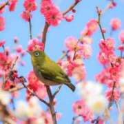 ヒメ日記 2025/02/12 12:08 投稿 かなめ 奥鉄オクテツ兵庫
