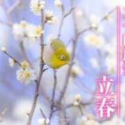ヒメ日記 2025/02/23 15:14 投稿 かなめ 奥鉄オクテツ兵庫