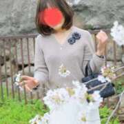 ヒメ日記 2025/07/15 16:12 投稿 かなめ 奥鉄オクテツ兵庫