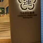 ヒメ日記 2025/09/11 06:57 投稿 かなめ 奥鉄オクテツ兵庫