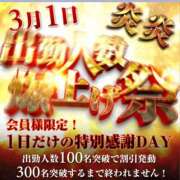 ヒメ日記 2026/02/28 16:27 投稿 かなめ 奥鉄オクテツ兵庫