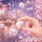 ヒメ日記 2026/03/10 16:00 投稿 かなめ 奥鉄オクテツ兵庫