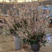 ヒメ日記 2026/03/28 20:31 投稿 かなめ 奥鉄オクテツ兵庫