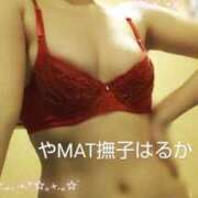 ヒメ日記 2025/02/20 18:16 投稿 はるか やMAT撫子