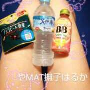 ヒメ日記 2025/02/28 11:06 投稿 はるか やMAT撫子