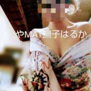 ヒメ日記 2025/04/12 17:00 投稿 はるか やMAT撫子