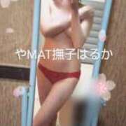ヒメ日記 2025/05/31 19:26 投稿 はるか やMAT撫子