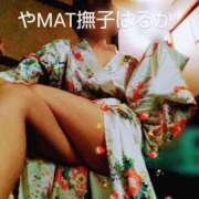 ヒメ日記 2025/06/10 00:40 投稿 はるか やMAT撫子