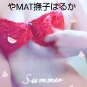 ヒメ日記 2025/07/17 09:23 投稿 はるか やMAT撫子