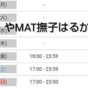 ヒメ日記 2025/11/12 14:30 投稿 はるか やMAT撫子