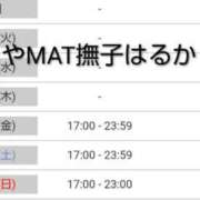 ヒメ日記 2025/12/17 20:38 投稿 はるか やMAT撫子