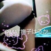 ヒメ日記 2026/01/30 14:01 投稿 はるか やMAT撫子