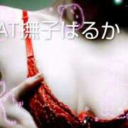 ヒメ日記 2026/03/27 19:14 投稿 はるか やMAT撫子