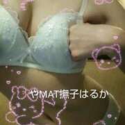 ヒメ日記 2026/04/16 20:10 投稿 はるか やMAT撫子