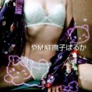 ヒメ日記 2026/04/20 14:42 投稿 はるか やMAT撫子