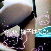 ヒメ日記 2026/07/08 23:32 投稿 はるか やMAT撫子