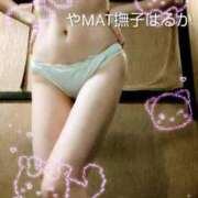 ヒメ日記 2026/08/29 15:04 投稿 はるか やMAT撫子