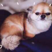 ヒメ日記 2025/05/14 11:43 投稿 りな 深海魚