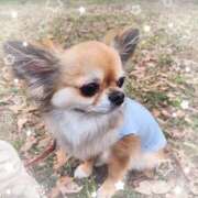 ヒメ日記 2025/07/07 15:16 投稿 りな 深海魚