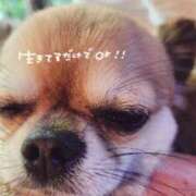 ヒメ日記 2025/08/15 16:24 投稿 りな 深海魚