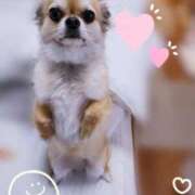 ヒメ日記 2025/11/03 16:00 投稿 りな 深海魚