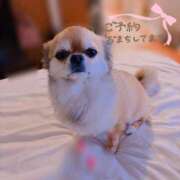 ヒメ日記 2026/02/05 00:54 投稿 りな 深海魚