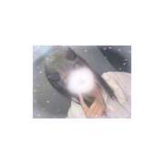 ヒメ日記 2026/09/03 18:49 投稿 さりな Revolution（レボリューション）