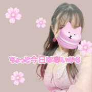 ヒメ日記 2025/03/16 15:08 投稿 ミナミ ハピネス東京