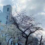 ヒメ日記 2026/03/27 15:57 投稿 ミナミ ハピネス東京