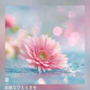 ヒメ日記 2026/07/31 07:43 投稿 伊藤 えま HANA-okinawa-