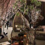 ヒメ日記 2025/04/18 11:03 投稿 白石　れいか YUDEN〜油殿〜谷九・日本橋店