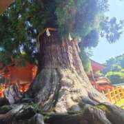 ヒメ日記 2025/10/15 08:45 投稿 白石　れいか YUDEN〜油殿〜谷九・日本橋店