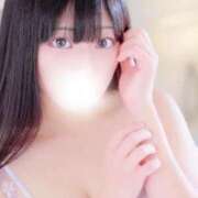 ヒメ日記 2024/12/30 15:13 投稿 はな ぽっちゃりきぶん