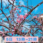 ヒメ日記 2025/02/23 20:04 投稿 はな ぽっちゃりきぶん