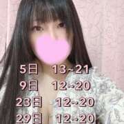 ヒメ日記 2025/03/02 11:02 投稿 はな ぽっちゃりきぶん